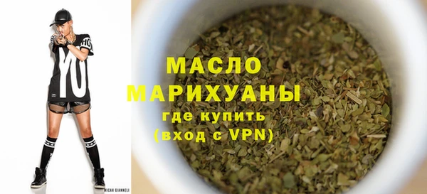 молекула духа Новозыбков