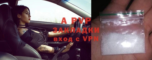 винт Абаза