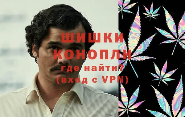 винт Абаза