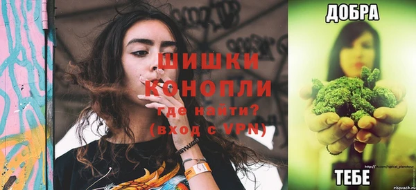 винт Абаза