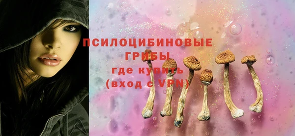 винт Абаза